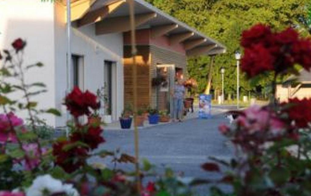 Camping Au Bord De L'Aisne Guignicourt 외부 사진